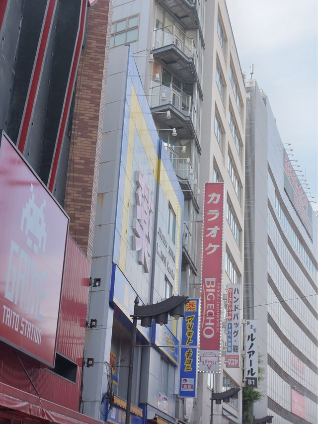 上野「成田空港から一本オススメ観光地」