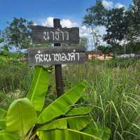 หัวใจสีเขียว💚โคกหนองนาโมเดล📍