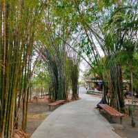 วัดป่าคลอง 11 วัดสวยในปทุมธานี