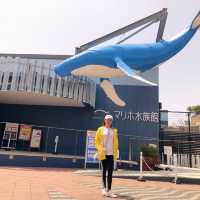 広島　マリホ水族館