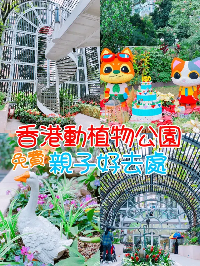 🇭🇰中環✅香港動植物公園‼️免費遛娃好去處 💯