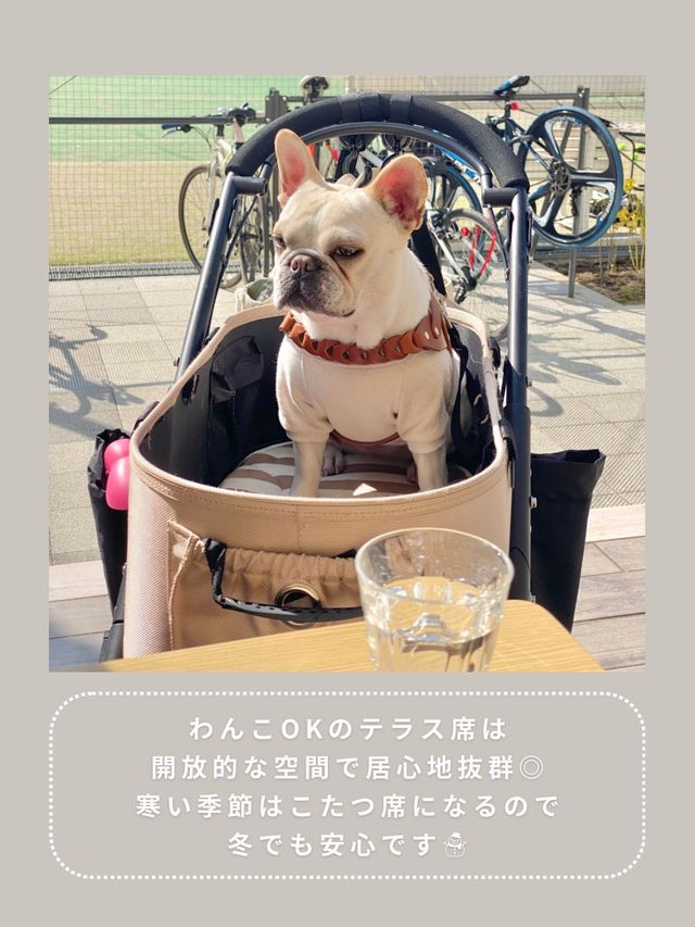 【南町田】わんこと行ける穴場ランチ🍕