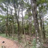 香港🇭🇰 ｜周日行山必選地點之一🌟 - 馬鞍山郊野公園🌲