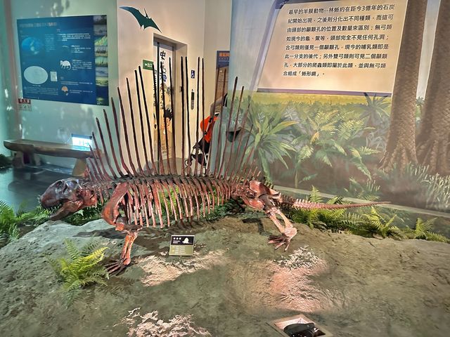【 2023 台南景點 】樹谷生活科學館 恐龍骨骼博物館 再現恐龍蹤跡