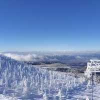 雪質抜群のパウダースノーを堪能できる蔵王温泉スキー場