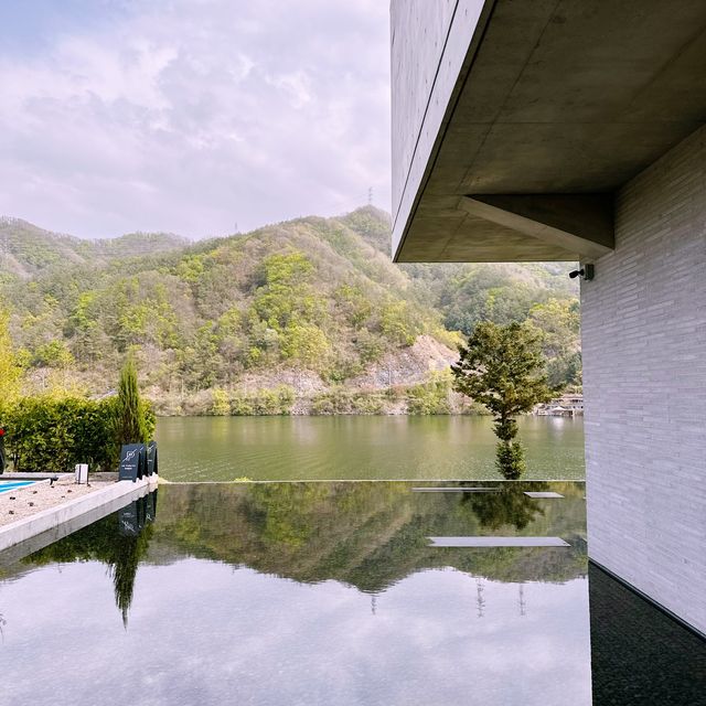 🌳 강가에 비춘 자연 풍경을 보며 힐링할 수 있는 골든트리 카페 