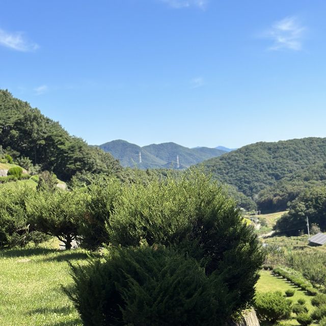 🌳 아름다운 자연 풍경을 감상하며, 추석에 가족끼리 성묘나들이를 해보세요💚