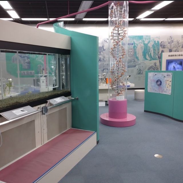 科學的奇妙世界：新潟縣立自然科學館 🏞️🔬🚀