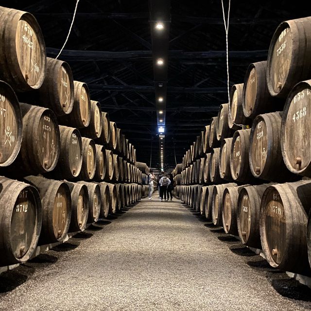전통과 역사가 깊은 포르투 와인의 제조 공정을 볼 수 있는 곳, 테일러스 와이너리 투어🍷