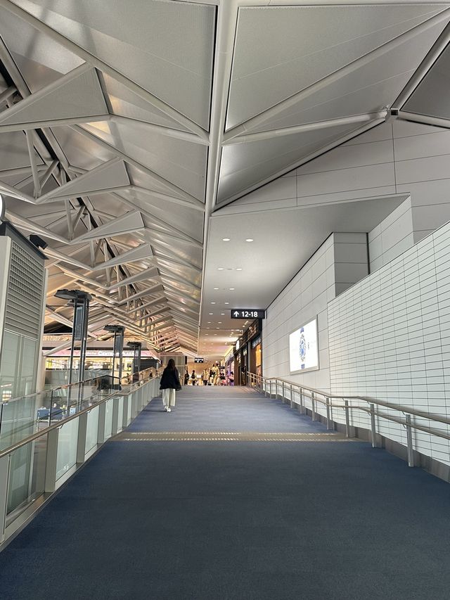 《搭乗記》中部国際空港→仁川国際空港✈️大韓航空🇰🇷空の旅☁️