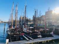 荷蘭🇳🇱鹿特丹 Rotterdam⛵️☀️Veerhaven美麗的港口景色