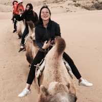 Riding on a camel amidst the rolling dunes