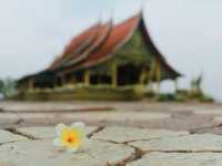 เก็บแสงเช้า ณ วัดสิรินธรวรารามภูพร้าว 