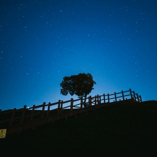 연천당포성에서 본 오늘의 우주 🌌