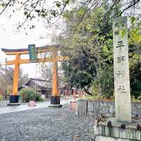 【京都府】桜の名所　平野神社