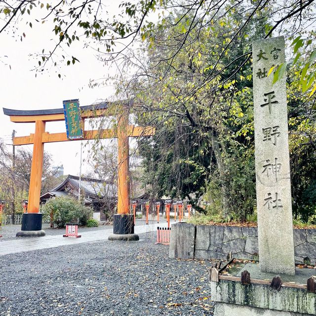 【京都府】桜の名所　平野神社