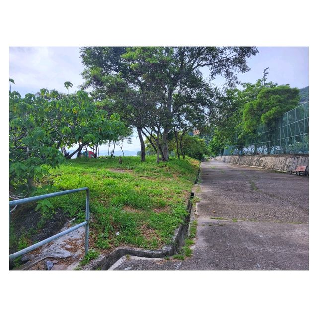 沙灣舊碼頭。大口環