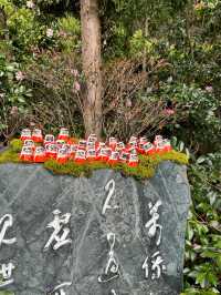 It’a red world 🇯🇵🇯🇵 Katsuoji Temple !!