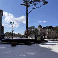 강원도 겨울 필수코스☃️ 눈썰매장으로 떠나요!