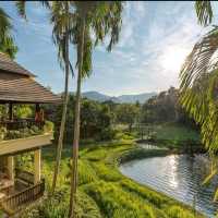 Northern Thai luxury-hotel experience