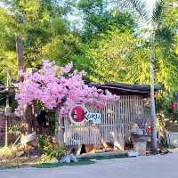 OKOKU CAFE