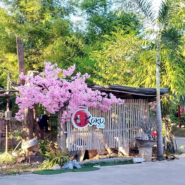 OKOKU CAFE