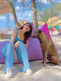  BaliBule' คาเฟ่ & ที่พัก 