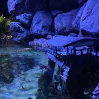 Aquaria KLCC