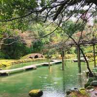 【石川】ステンドグラスが美しい神社⛩️