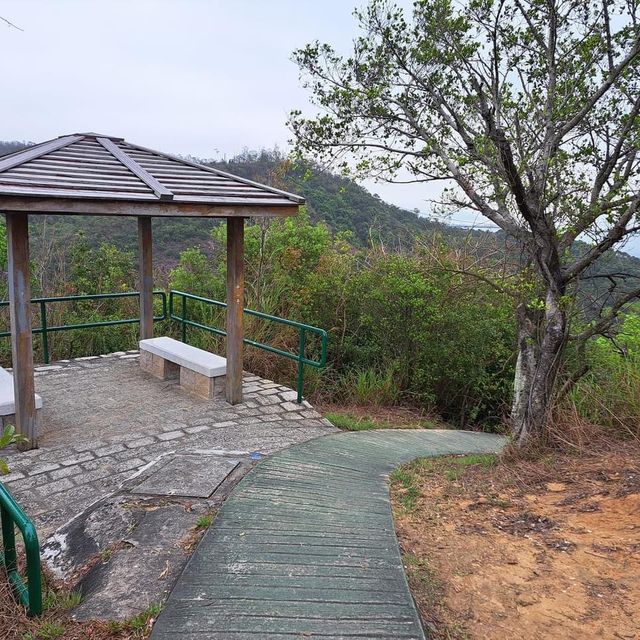 行山行山