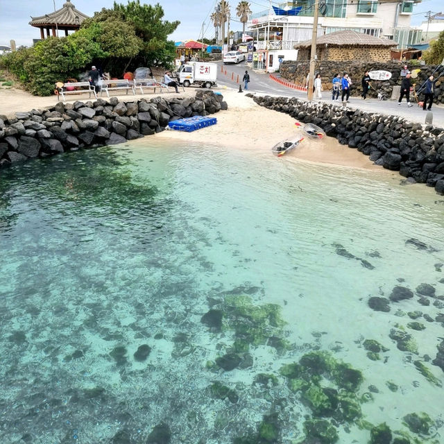🏝 투명하고 푸른 바다가 펼쳐지는 제주 애월 "한담해변"