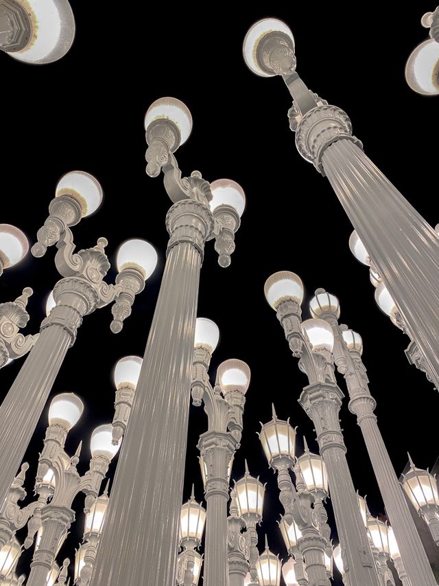 미국에서 유럽갬성나는 찐 핫플인 lacma🤍🖤