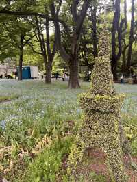 東京【日比谷公園】東京の公園でネモフィラが見れる場所💙