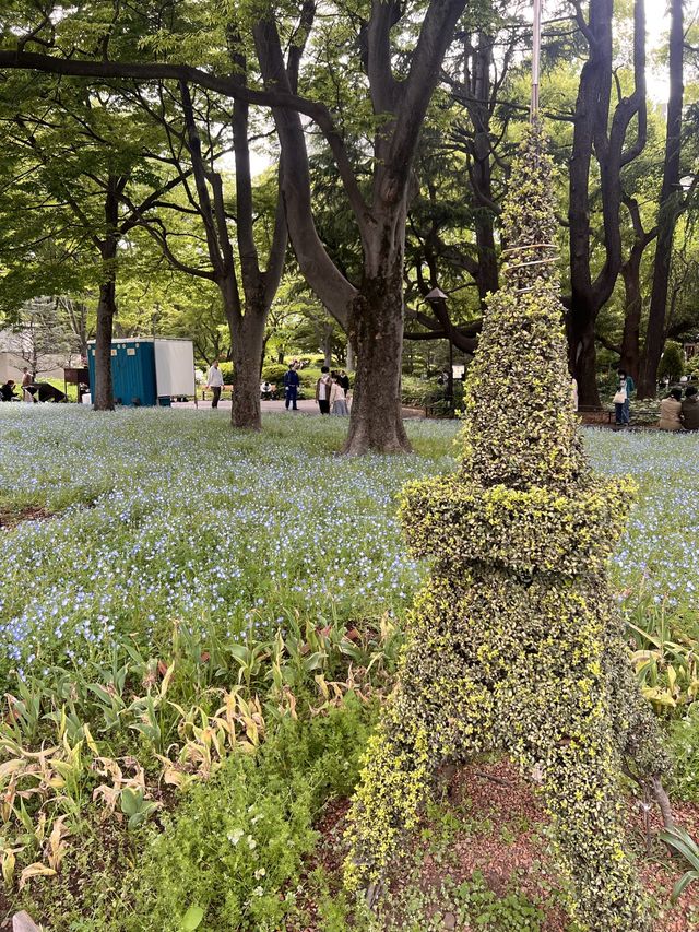 東京【日比谷公園】東京の公園でネモフィラが見れる場所💙