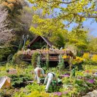 【兵庫県 神戸】神戸布引ハーブ園＆ロープーウェイ✨