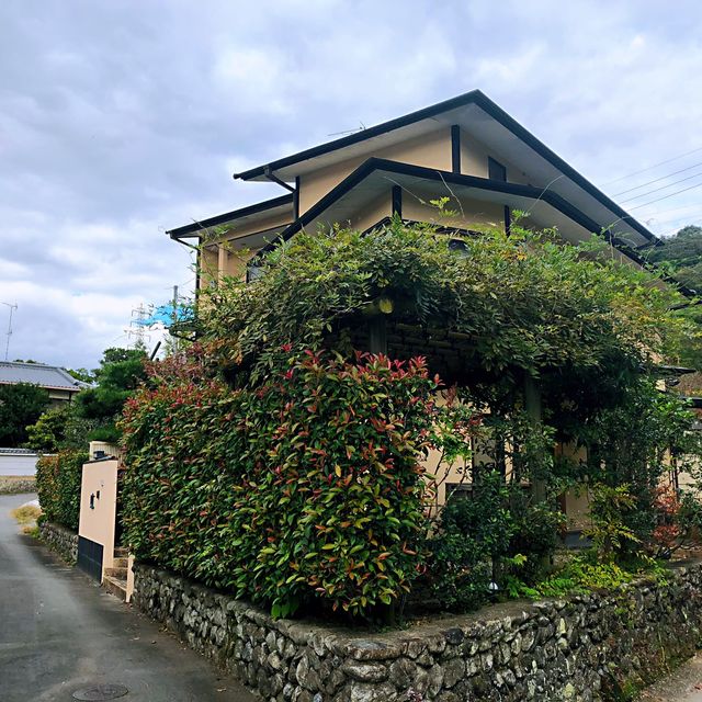 宇治抹茶一條街