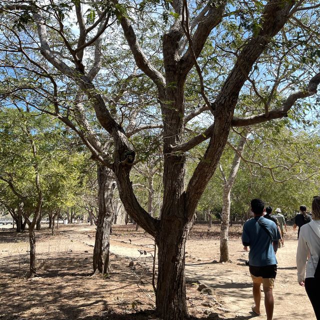 komodo national park