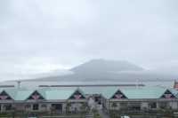探索海洋奇觀：帶小朋友遊覽鹿兒島水族館