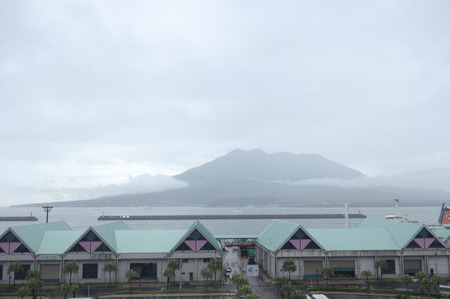 探索海洋奇觀：帶小朋友遊覽鹿兒島水族館