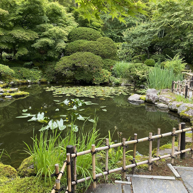宮城松島「円通院」日本庭園が美しい