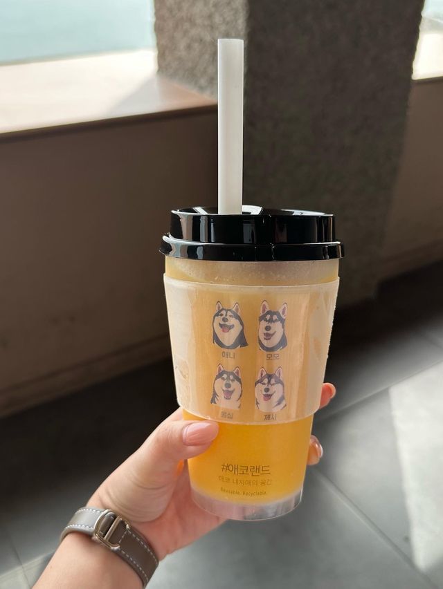【韓国/釜山/カフェ】 海を見ながら！ハスキーカフェ🐶