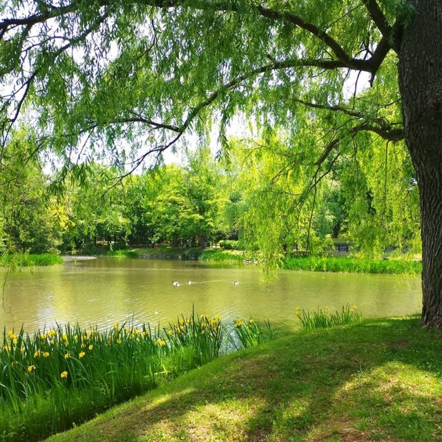 初夏的札幌“中島公園”