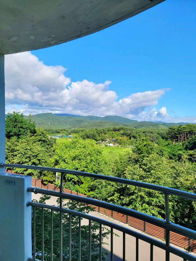 조식도 부대시설도 갓성비로 즐기는 더앤리조트🏝