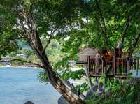 The TreePods Amari Phuket ปิคนิคบนต้นไม้