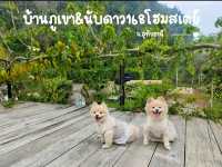 สวิตเซอร์แลนด์เมืองไทยอยู่ที่อุทัยแค่นี้เอง 