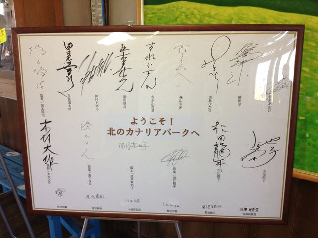 北海道　北海道観光　礼文島で絶対外せない観光スポット　北のカナリアパークに行ってきた！　