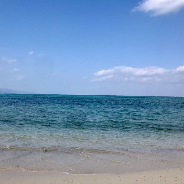 【沖縄 竹富島】一度は行っておきたい竹富島