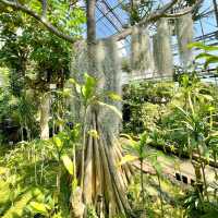 【静岡】熱川バナナワニ園🌼温泉を利用してるって✨