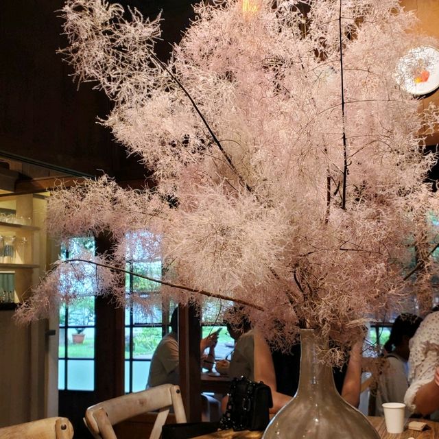 【台湾_嘉義】檜意森活村にある日式カフェ☕