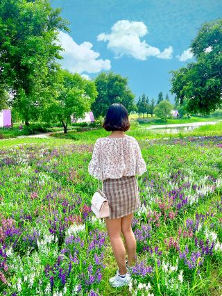 Suncheon Bay International Garden Expo, South Korea
